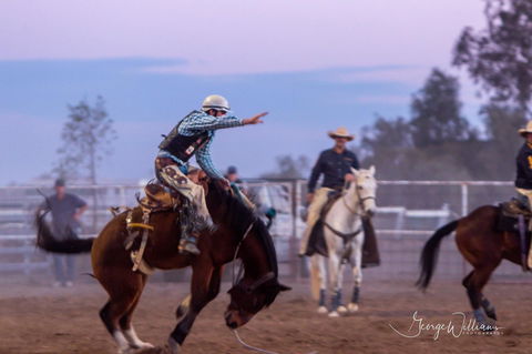 Walgett Charity Bushman's Carnival Rodeo And Campdraft - Southport Accommodation 1