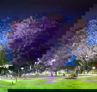 Adelaide Parklands Art Prize  Finalists Exhibition  Sale 2020