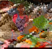 Albany Farmers Market - Accommodation Southport