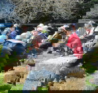 All Season Cold Climate Organic Vegetable Growing - Southport Accommodation