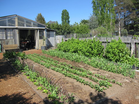 All Season Cold Climate Organic Vegetable Growing - Southport Accommodation 1