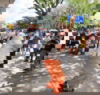 Australian National Busking Championships - Southport Accommodation
