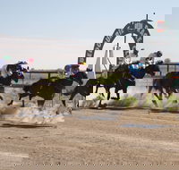 Bedourie Races and Rodeo - Southport Accommodation