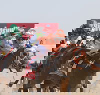 Birdsville Races - Southport Accommodation