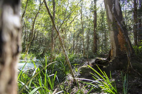Bottlebutt Bash Trail Run - Southport Accommodation 0