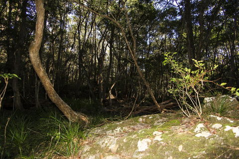 Bottlebutt Bash Trail Run - Southport Accommodation 1