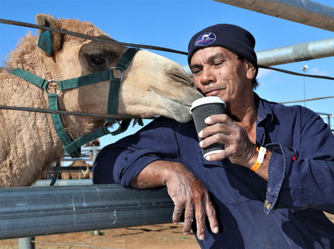 Boulia Camel Races - Southport Accommodation 2