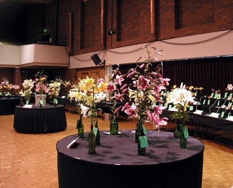 Burnie Lilium Show - Accommodation Southport 0