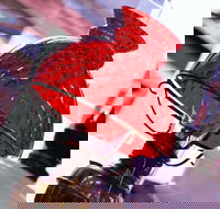 Collectable Sundays - Bus Depot Markets - Accommodation Southport