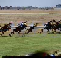 Jerilderie Gold Cup Races