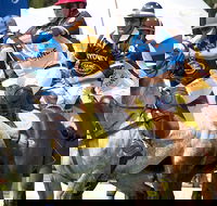 Land Rover Polo in the City Brisbane - Accommodation Southport