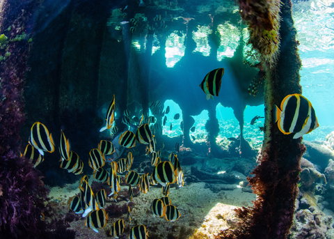 Landscape And Wildlife Photography Tour - Accommodation Southport 1