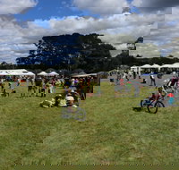 Majors Creek Festival - Southport Accommodation