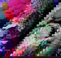 Port Douglas Hot and Steamy Festival - Accommodation Southport