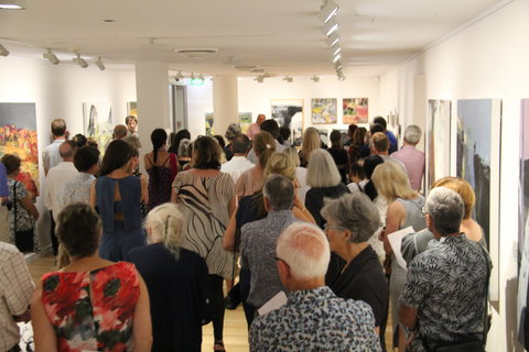 'Redland Art Awards 2020' Exhibition Opening - Accommodation Southport 0