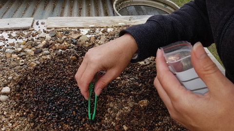 The Minerama Fossicking, Gem And Jewellery Show - Southport Accommodation 1