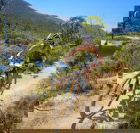 TreX Cross Triathlon Series  Snowy Mountains - Southport Accommodation