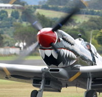 Wings Over Illawarra - Accommodation Southport