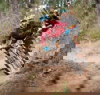 Fox Superflow sealed by Stan's Race  Greenvalleys