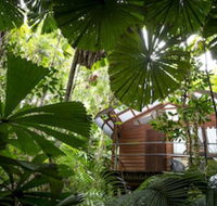 Daintree Wilderness Lodge - Southport Accommodation