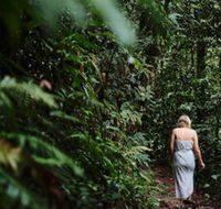 Daintree Ecolodge - Southport Accommodation