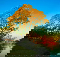 Cadell on the Murray Motel Resort - Southport Accommodation