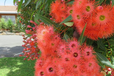 Port Campbell Motor Inn - Southport Accommodation 4