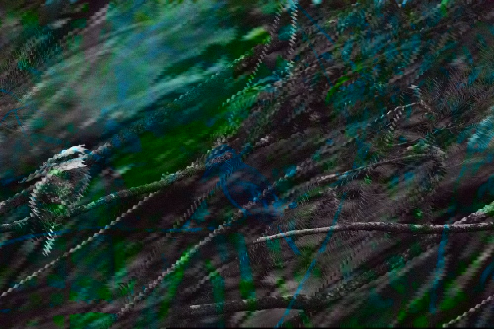  Southport Accommodation