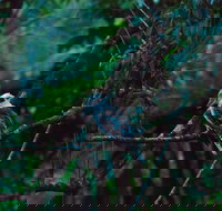 Broken River Mountain Resort - Southport Accommodation