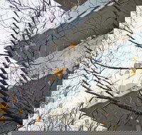 The Sebel Launceston - Southport Accommodation