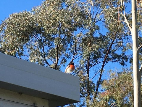 Applegate Lane Chalet - Accommodation Southport 1