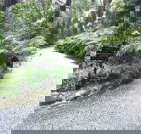 Mountain Lodge - Accommodation Southport