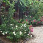 Maldons Eaglehawk Motel - Southport Accommodation 0