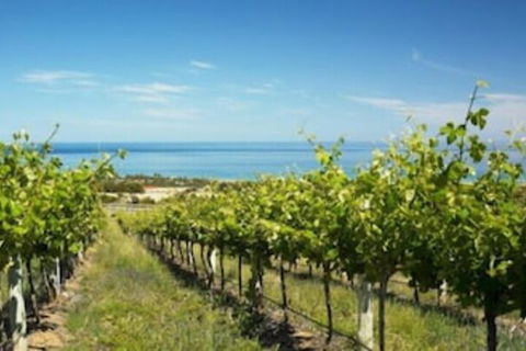 McLaren Vale Backpackers - Southport Accommodation 6