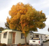 Wodonga Caravan  Cabin Park - Southport Accommodation