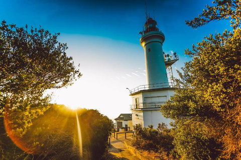 Abaleen House - Accommodation Southport 5
