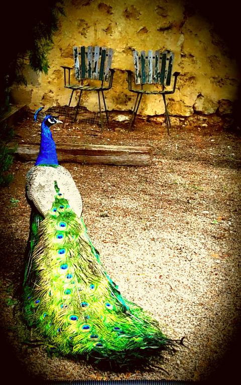 A La Folly - Accommodation Southport 4