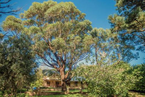Secluded Homestead Amongst The Trees - Southport Accommodation 3
