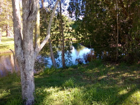 Eumundi Cottages Cottage 1 - Accommodation Southport 4