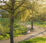 A Suite Spot in the Hills