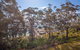 Kamilaroi 6 / 58 60 Magnus Street - thumb 2