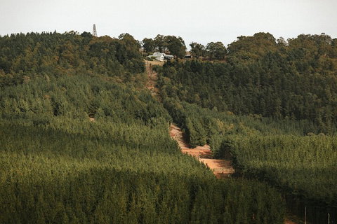 Nannup Hideaway - Accommodation Southport 4