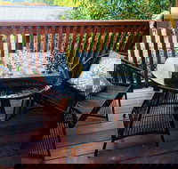 The Little Jungle Studio - Southport Accommodation