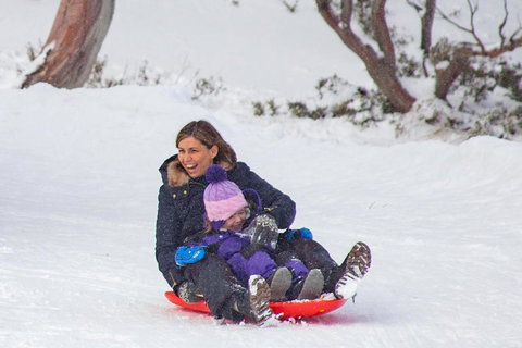 Alpine Heights 1 Bedroom Penthouse MHA - Accommodation Southport 6