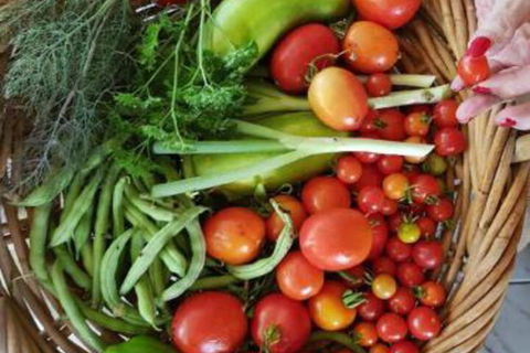 Ahvenbloem Park Winganna - Accommodation Southport 3