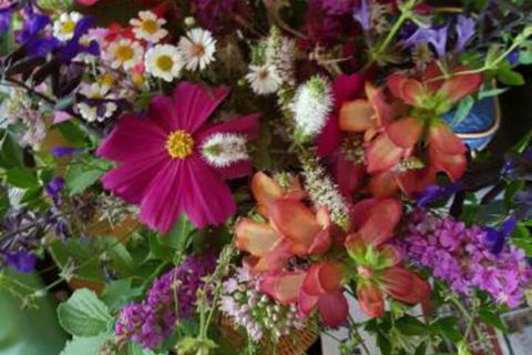 Ahvenbloem Park Winganna - Accommodation Southport 0