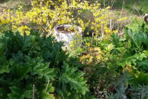 Ahvenbloem Park Winganna - Accommodation Southport 1