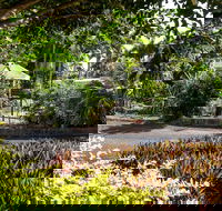 Country Comfort Bundaberg - Southport Accommodation