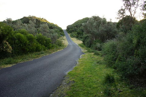 Venus Escapes Guesthouse - Southport Accommodation 2