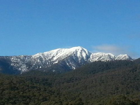 Alps Lodge - Accommodation Southport 4